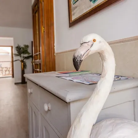 Alhaurin Old Town, Casa Flamingo, 2 Bed